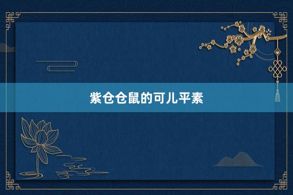 紫仓仓鼠的可儿平素