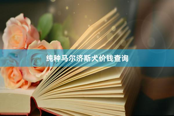 纯种马尔济斯犬价钱查询